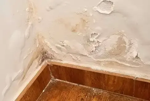 Reparación de Humedades por Filtración